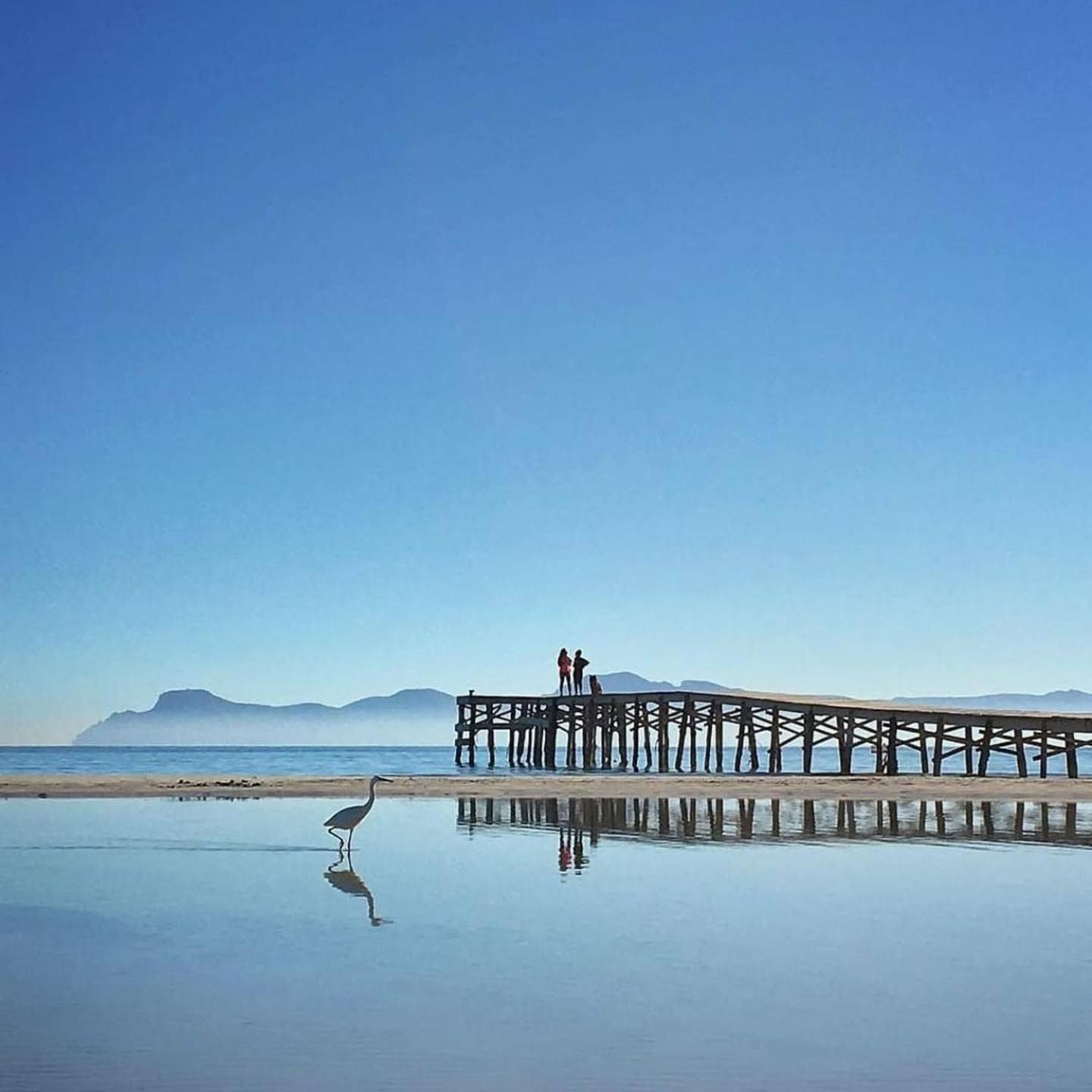 Apartamentos Venecia A Unos Pasos De La Playa Port de Alcudia  Екстер'єр фото